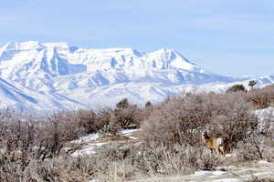 Property view of mountains