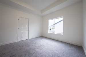Empty room featuring a raised ceiling and carpet flooring