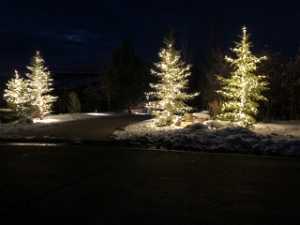 yard lights down the driveway
