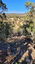 View of property view of mountains