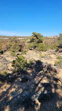 View of property view of mountains