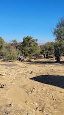 View of yard featuring a rural view