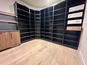 Spacious closet featuring light wood-type flooring