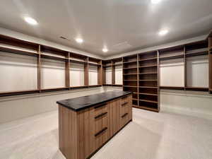 Spacious closet featuring light carpet