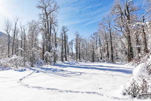 View of yard covered in snow