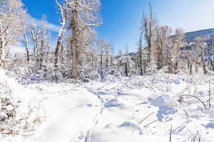 View of snowy view