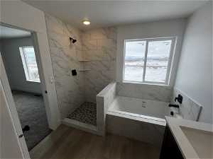 Bathroom with vanity, plus walk in shower, and wood-type flooring