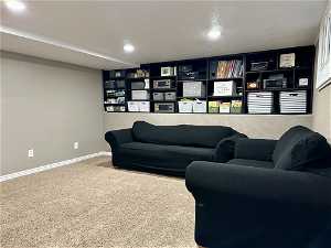 Family room featuring carpet flooring and shelving for storage