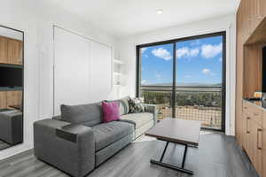 Living room with a mountain view and dark wood-type flooring
