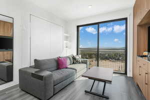 Living area featuring a mountain view and dark wood-style flooring