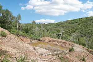 View of local wilderness with a water view