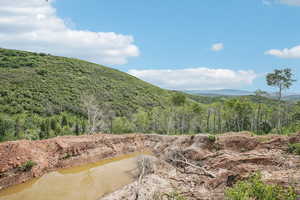 Property view of mountains featuring a water view