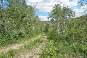 View of landscape