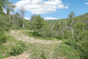 View of landscape