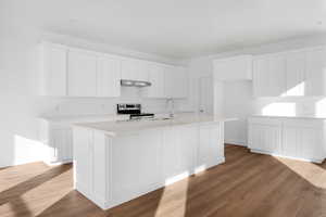 Kitchen featuring white cabinets, stainless steel electric range, light wood-style flooring, a kitchen island with sink, and under cabinet range hood