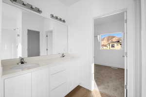 Bathroom featuring double vanity, a shower, dark wood-style flooring, and dark colored carpet