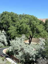 Walking Park Picture 2