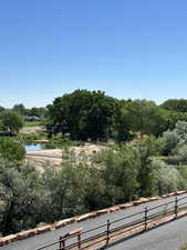 Walking Park Picture