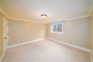 Spare room with light colored carpet and ornamental molding
