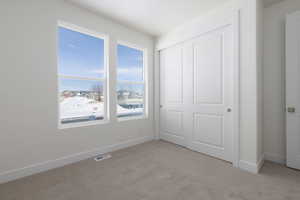 Unfurnished bedroom featuring light colored carpet, a closet, and multiple windows