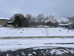 View of snowy yard