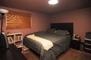 Basement Bedroom