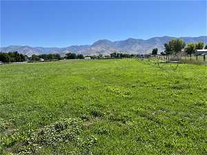 Irrigated land with pressurized water shares included with the sale
