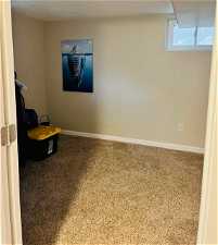 Basement Bedroom, carpet