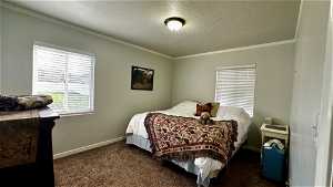 Carpeted bedroom with crown molding and a textured ceiling