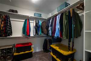 Owner's Spacious closet featuring rods, shelves, and carpet