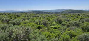 Looking South from on top of this lot