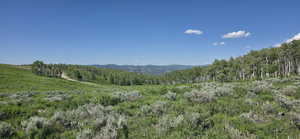 Looking North from top of lot