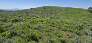 Looking west from east boundary of lot