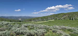 Looking Northwest from top of lot