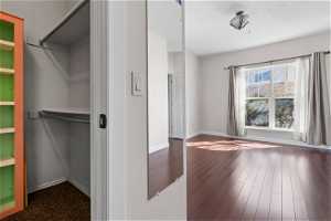 Spacious closet featuring dark hardwood / wood-style floors