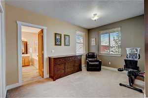 Primary suite with private bathroom and 1 of 3 flex spaces in this home. Mountain views!
