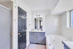 Bathroom with shower with separate bathtub and large vanity