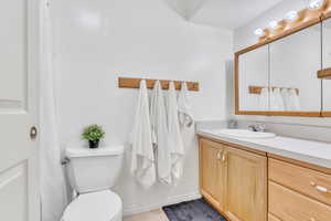 Bathroom with toilet and oversized vanity