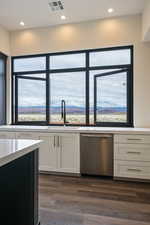 Kitchen with white cabinets, dishwasher, a healthy amount of sunlight, and dark wood-type flooring