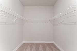 Walk in closet featuring carpet flooring