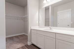 Bathroom featuring vanity and wood-type flooring