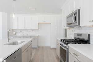 Kitchen featuring light hardwood / wood-style floors, appliances with stainless steel finishes, sink, and backsplash