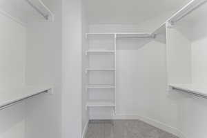 Spacious closet featuring carpet floors