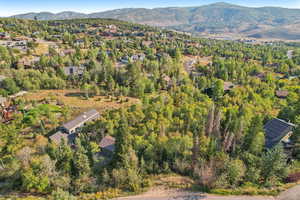 Aerial view with a mountain view