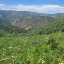 View of property view of mountains