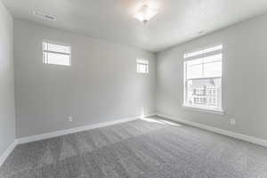 Unfurnished room featuring carpet flooring and a textured ceiling