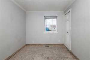 Unfurnished room with a textured ceiling, carpet floors, and crown molding