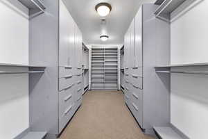 Spacious closet with light carpet