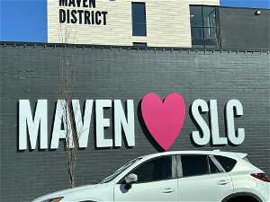 Maven District within walking distance of property. Dining, clothing, art studio w/classes for the whole family, bookstore, ice cream, co-working spaces, vinyl record shop.