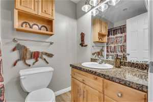 Bathroom featuring vanity with extensive cabinet space, hardwood / wood-style floors, and toilet